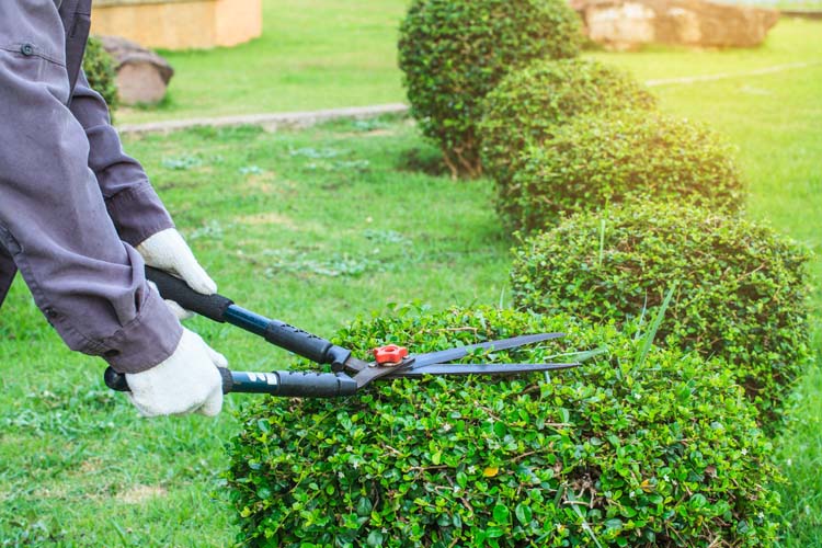 entretien de jardin Golbey