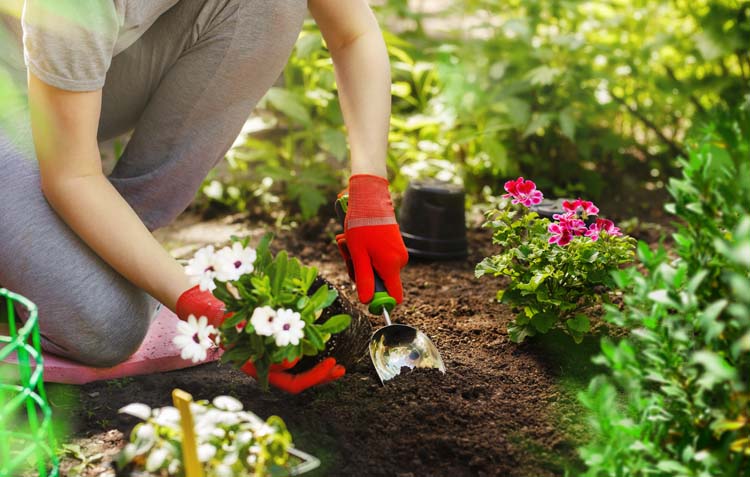 aménagement de jardin Golbey
